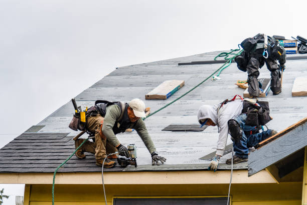Professional Storm Damage Roof Repair technician working in Parkers Lake, KY
